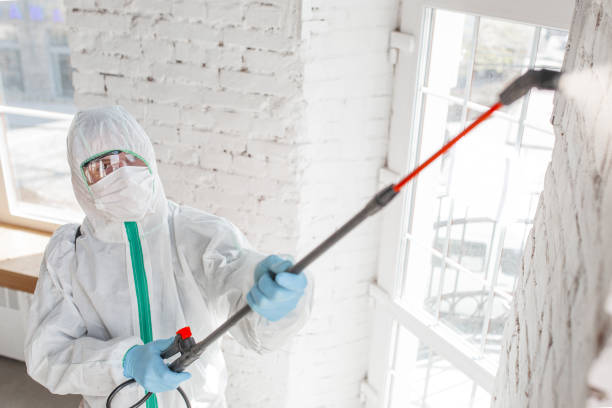 Best Real Estate Mold Inspection  in Felton, CA